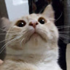 Meet your Posher, Kathryn